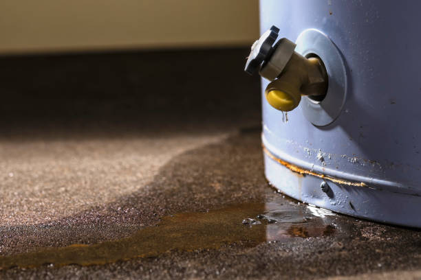 Best Flood restoration services  in Ellerslie, GA
