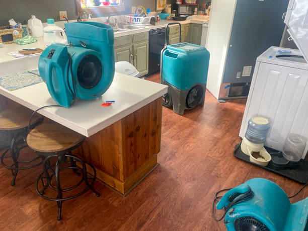 Best Residential water damage restoration  in Ellerslie, GA