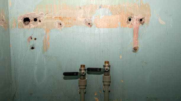 Best Professional water damage repair  in Ellerslie, GA