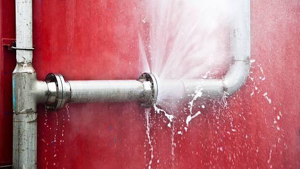 Best Basement water damage restoration  in Ellerslie, GA